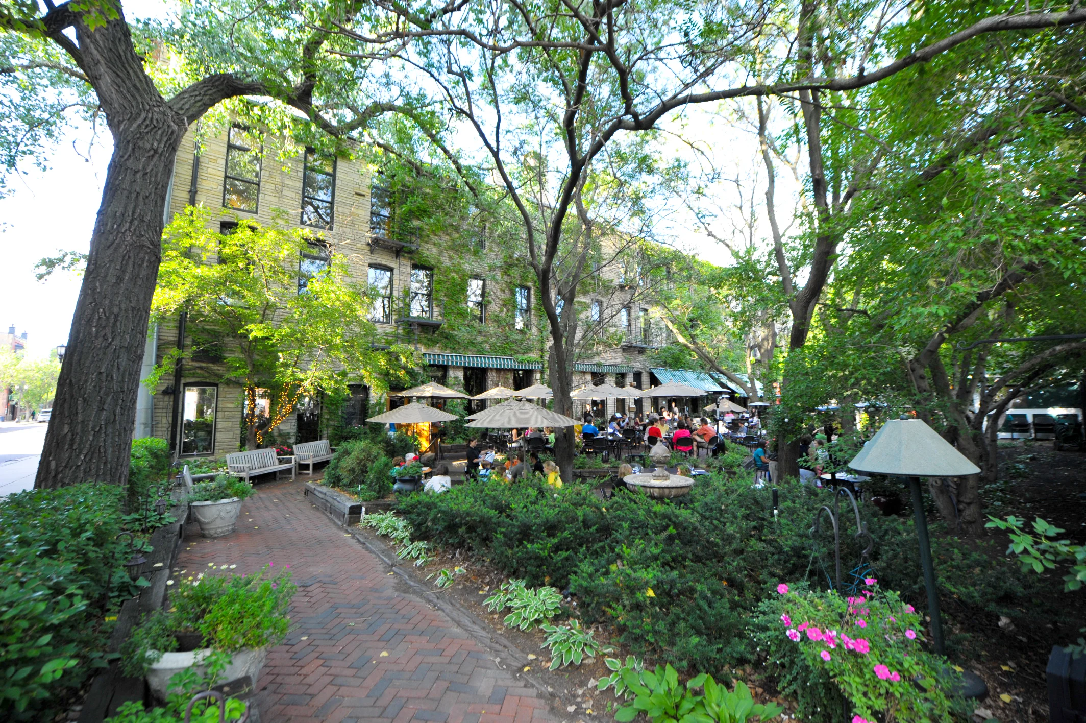 J A Frost St Paul Cheap Sale